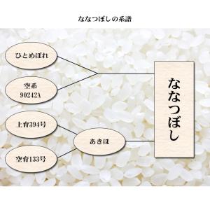 お米 5kg 送料無料 白米 ななつぼし 北海...の詳細画像4