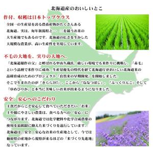 お米 5kg 送料無料 白米 ななつぼし 北海...の詳細画像5