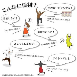 無洗米 北海道産 ゆめぴりか 使い切り 小分け...の詳細画像2