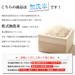 お米 2kg 送料無料 無洗米 銀河のしずく ...の詳細画像1