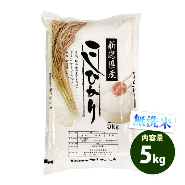 無洗米 5kg 送料無料 コシヒカリ 新潟県産 令和5年産 米 5キロ お米 あす着く食品
