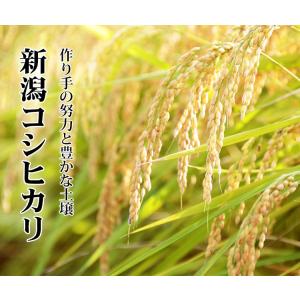 無洗米 5kg 送料無料 コシヒカリ 新潟県産...の詳細画像2