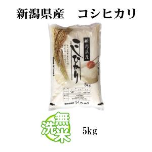 無洗米 5kg 送料無料 コシヒカリ 新潟県産...の詳細画像3