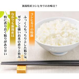 無洗米 5kg 送料無料 コシヒカリ 新潟県産...の詳細画像4