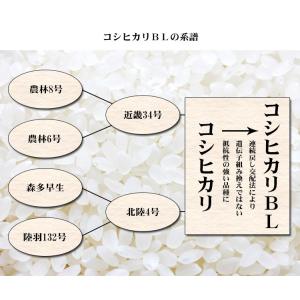 無洗米 5kg 送料無料 コシヒカリ 新潟県産...の詳細画像5