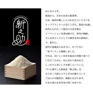 無洗米 10kg 送料無料 新之助 しんのすけ...の詳細画像4