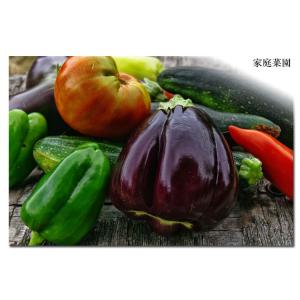 糠 米糠 500g ヌカ 美米屋 米屋の米ぬか...の詳細画像3