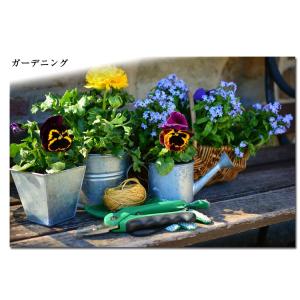 糠 米糠 500g ヌカ 美米屋 米屋の米ぬか...の詳細画像4