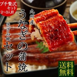 内祝 お返し 贈り物 土用 丑の日 ギフト gift うなぎ 鰻 海鮮 蒲焼き 国産 2017 送料無料 2人前〜3人前 九州産 きざみ鰻