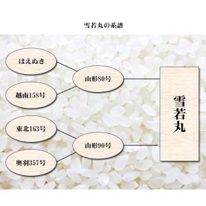 お米 5kg 送料無料 白米 雪若丸 ゆきわか...の詳細画像5