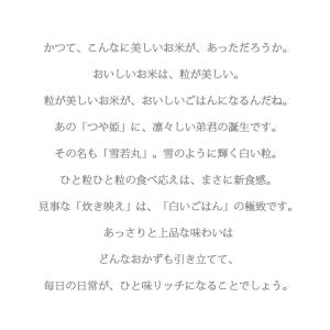 無洗米 5kg 送料無料 雪若丸 ゆきわかまる...の詳細画像3