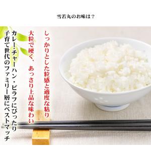 無洗米 5kg 送料無料 雪若丸 ゆきわかまる...の詳細画像5