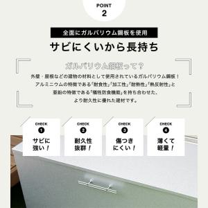 屋外収納庫 ゴミ置き場 大型 スリム ダンボー...の詳細画像4