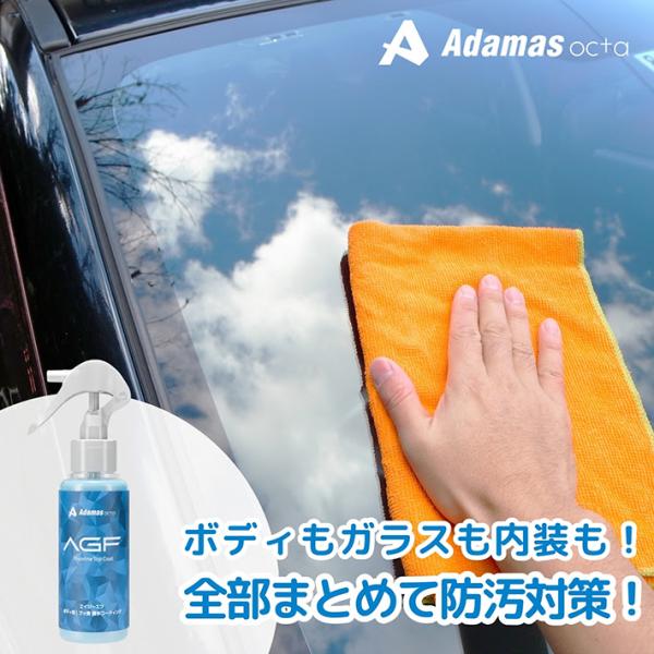 撥水 コーティング 車 ガラス ボディ 防汚 フッ素コーティング AGF 100ml