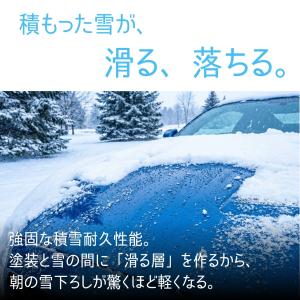 撥水コーティング剤 ZD zero defec...の詳細画像5