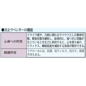 マスクスプレー マスクにシュッ!マスクに一吹き...の詳細画像3