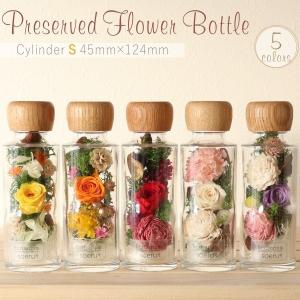 母の日 プレゼント 花 ギフト 2021 アジサイ 手作り 40代 祖母 ギフト プリザーブドフラワー 人気 インテリア ボタニカル 贈り物 誕生日 祝い