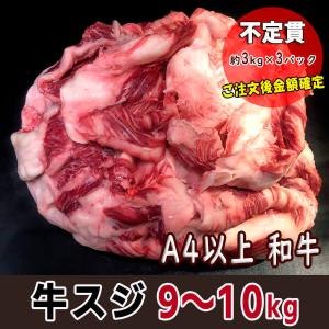 和牛 牛筋肉 牛スジ 約9kg(3kg×3P) 業務用 牛すじうどん
