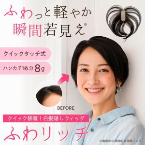 ふわリッチ クリップなし ピンなし 白髪かくし...の詳細画像1