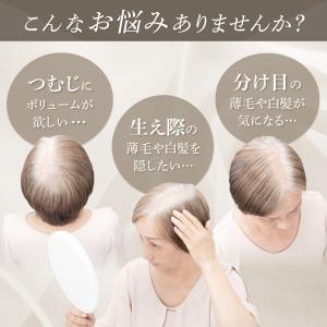 白髪隠し 薄毛隠し パウダー 増毛パウダー 白...の詳細画像3