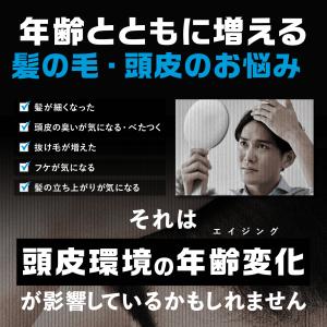 セール開催中 対象商品P10倍 シャンプー メ...の詳細画像2
