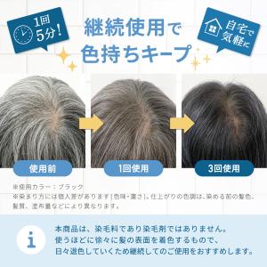 白髪染め カラートリートメント 白髪かくし 白...の詳細画像2