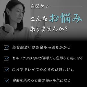 白髪染め カラートリートメント 白髪かくし 白...の詳細画像3