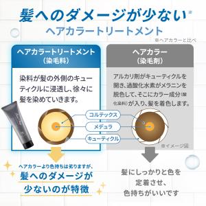 白髪染め カラートリートメント 白髪かくし 白...の詳細画像4