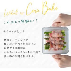 セラベイク 耐熱皿 耐熱ガラス スクエアロース...の詳細画像3