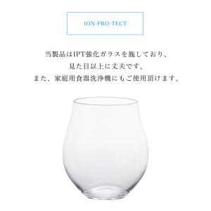 アデリア クラフトサケ はなやか 日本酒グラス...の詳細画像5