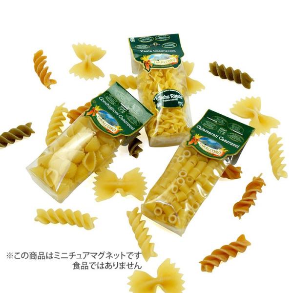 イタリア製 食品サンプル ミニチュアマグネット アルボトレード パスタ