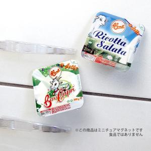 ミニチュアマグネット 食品サンプル フード チーズ BRUNELLI ポーションパック｜adesso-nip