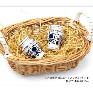 ミニチュアマグネット 食品サンプル フード チェリー FABBRI AMARENA CHERRY｜adesso-nip