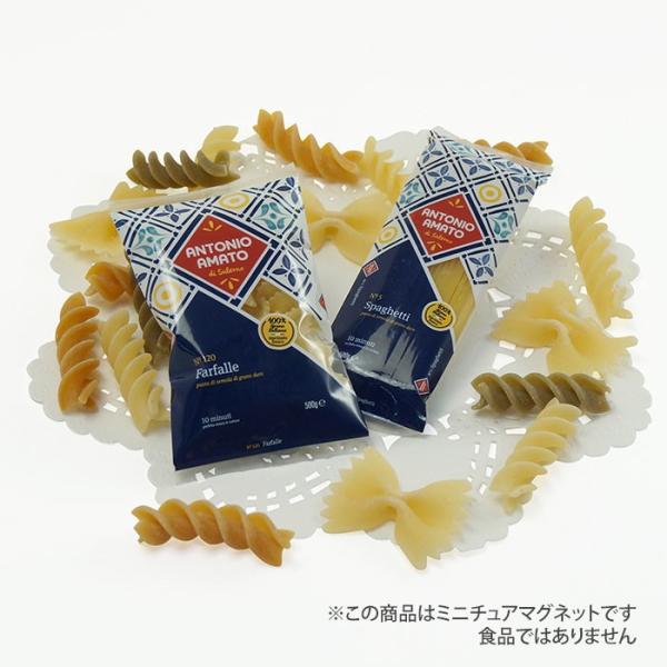 イタリア製 食品サンプル ミニチュアマグネット アルボトレード パスタ