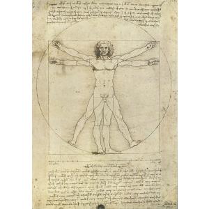 ポスター イタリア レオナルド・ダ・ヴィンチ ウィトルウィウス的人体図 アート I.F.I  ラッピングペーパー 50×70 LEONARDO CR015｜adesso-nip