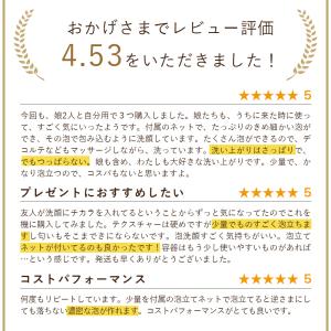 洗顔 オルナ オーガニック 泥 泥洗顔 洗顔フ...の詳細画像1