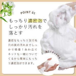 洗顔 オルナ オーガニック 泥 泥洗顔 洗顔フ...の詳細画像3