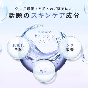 【最大半額クーポン】13日10:00まで!医薬...の詳細画像2