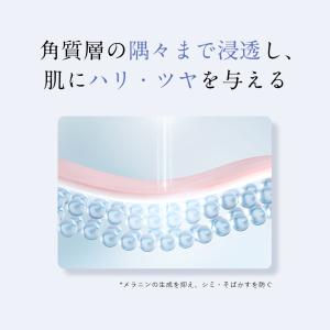 薬用 美白 化粧水 & 美容液 &am...の詳細画像4