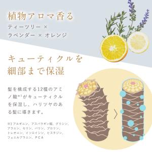 【最大40%OFFクーポン】13日10:00ま...の詳細画像4