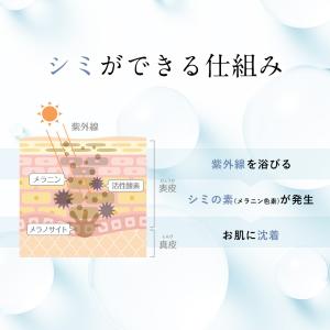 【最大30%OFFクーポン】16日0:00まで...の詳細画像2