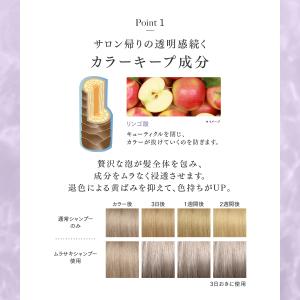 Q+ (クオリタス) シャンプー 単品 カラー...の詳細画像3