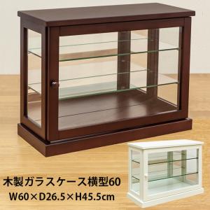 コレクションケース 横型 60cm幅 背面ミラー付 IT-C60  ガラスケース