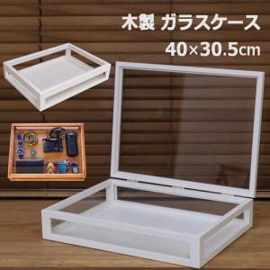 ガラスケース 木枠 フレーム 木製 コレクションケース 収納ボックス