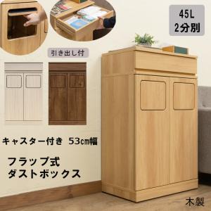 ゴミ箱 ダストボックス フラップ式 ごみ箱 上段 引き出し付き 45L×2分別 幅53cm 扉収納 キャビネット チェスト キャスター付き｜サカベ公式アドホックスタイル家具SHOP