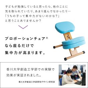 プロポーションチェアキッズ クッション付き バ...の詳細画像1