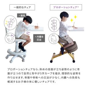 プロポーションチェアキッズ クッション付き バ...の詳細画像5