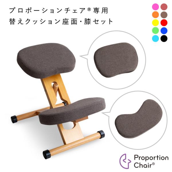 プロポーションチェアキッズ用替えクッション（座面と膝2個セット） バランス チェア 交換用クッション...