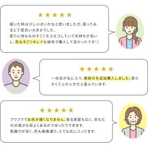 もこもこ座椅子 おしゃれ Pecora(ペコラ...の詳細画像3