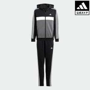 アディダス公式 ウェア服 セットアップ adidas Tiberio スリー